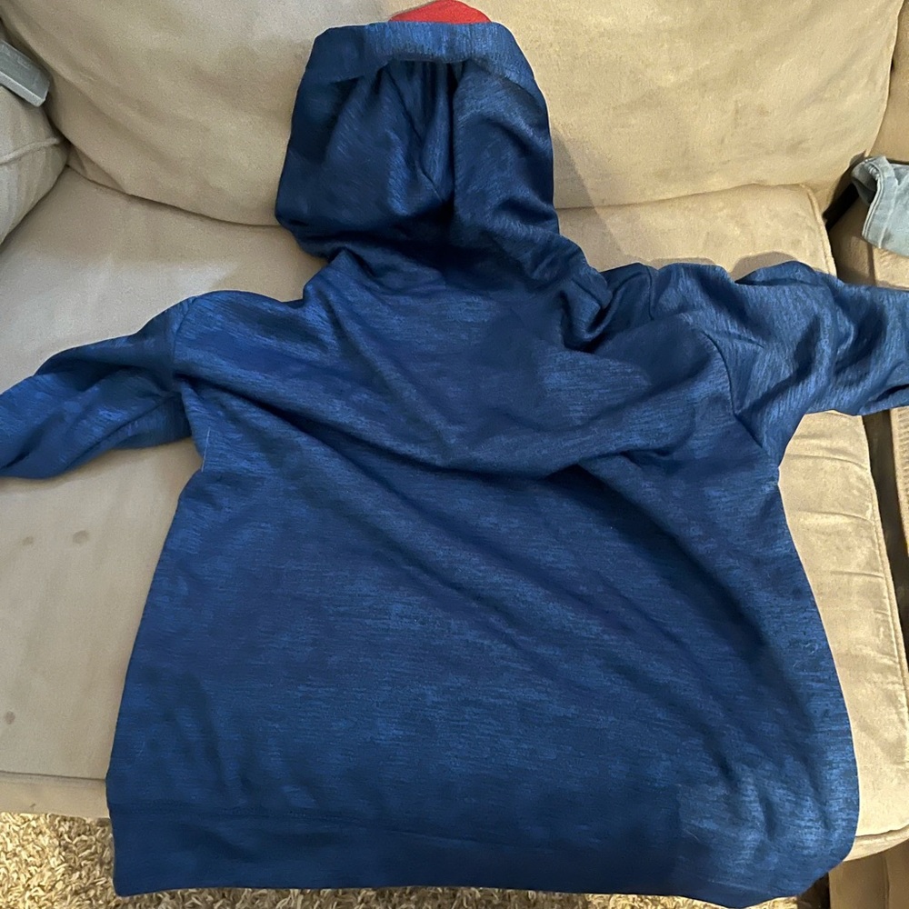 Texas hoodie